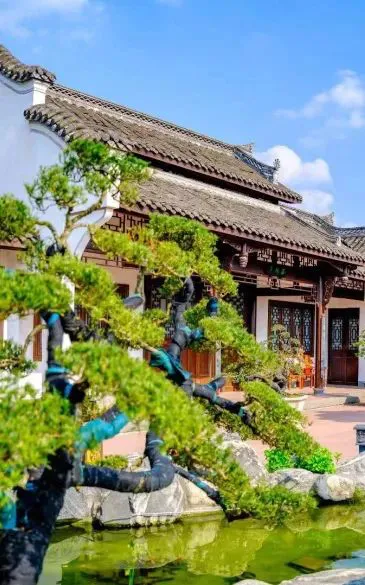 如何利用篮球背景改善投篮命中率_1